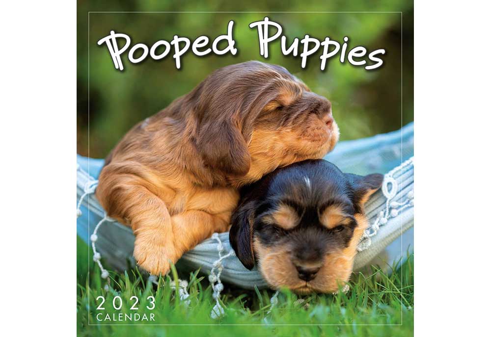 A 2023 Mini Wall Calendar of Pooped Puppy Dogs | Calendars of Dogs and Puppies