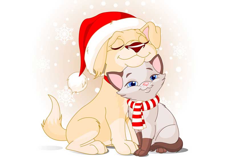 Puppy Dog and Kitty Cat Friends at Christmas Time
