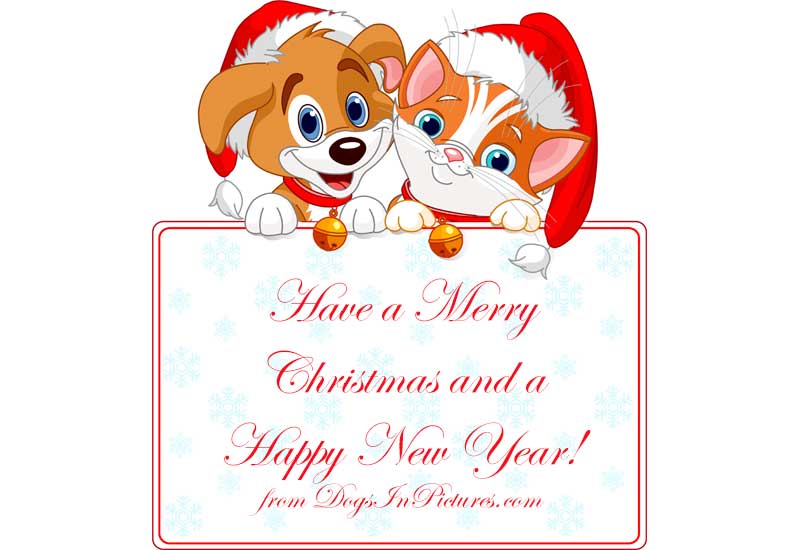 Merry Christmas and Happy New Year From DogsInPictures.com