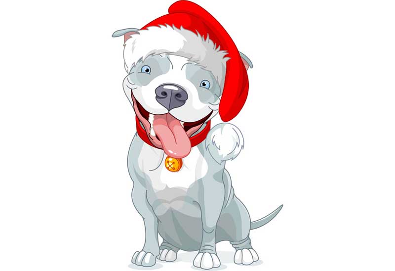 Clip Art of Pitbull Dog Wearing a Santa Hat