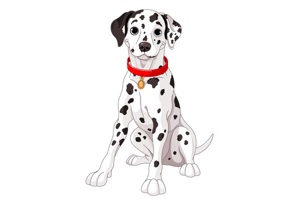 Picture of a Dalmatian Dog Sitting | Dog Clip Art Pictures