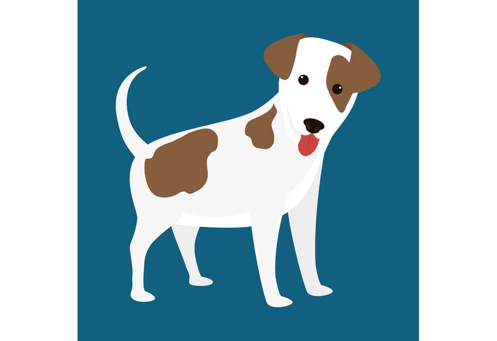 Clip Art of White and Brown Terrier Dog on Blue Background | Dog Clip Art Pictures