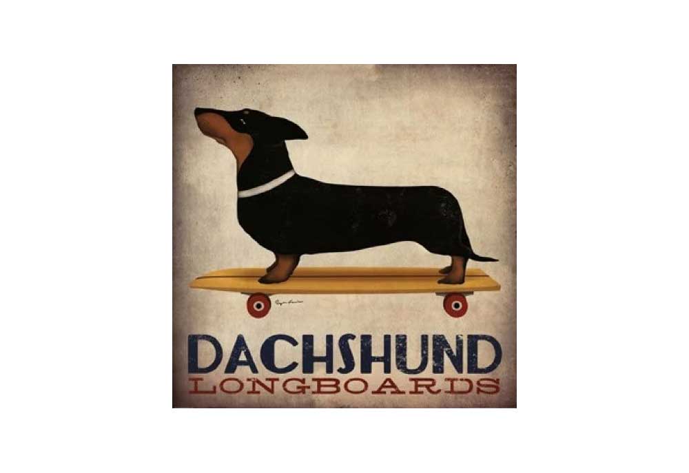 Dachshund Longboards Poster Weiner Dog on Skate Board | Posters of Dogs