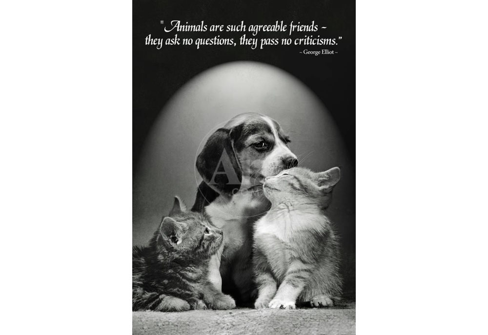 Puppy Dog with Kittens Poster Quote by George Elliot | Dog Posters and Prints