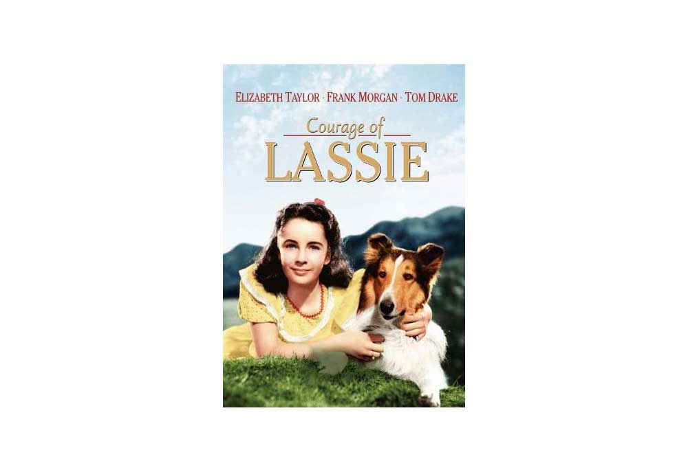 Lassie Movie Poster 1946 Courage of Lassie | Posters Pictures Images