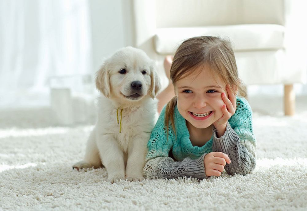 Picture of Golden Puppy Dog and Happy Little Girl | Dog Photography Pictures and Images