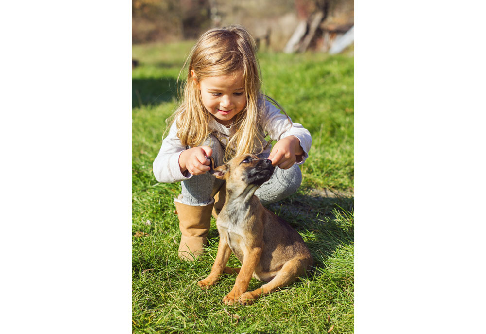 Image of a Puppy Dog and a Young Girl in Green Grass | Dog Photography