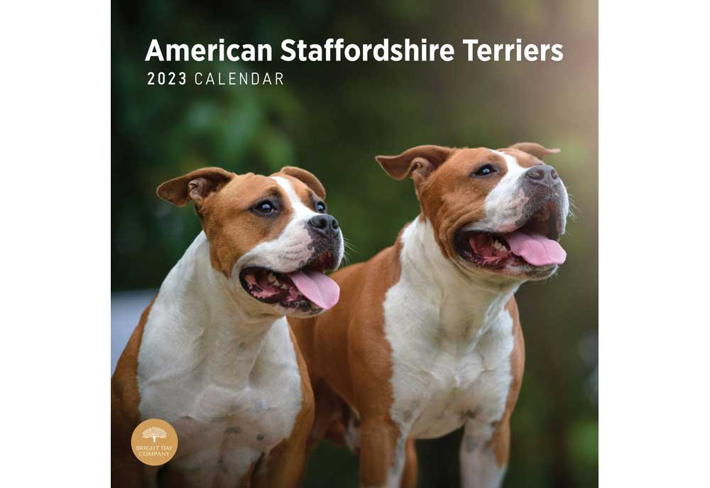 American Staffordshire Terrier Calendar | Dog and Puppy Calendars