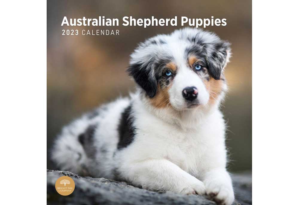 Calendar of Australian Shepherd Puppy Pictures | 2023 Dog Calendars