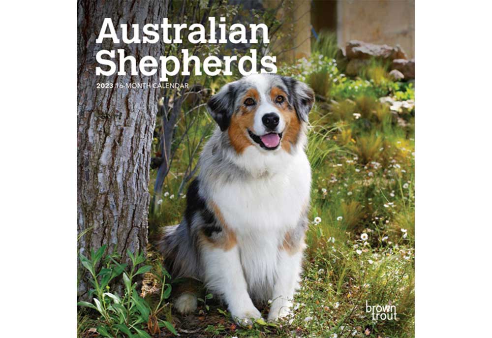 Australian Shepherd Dog Breed Calendar | 2023 Dog Calendars