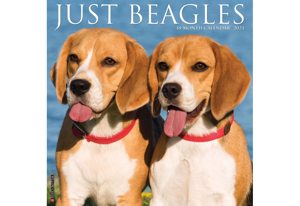 Beagle Dog Breed 2023 Wall Calendar | Calendars of Dogs and Puppies