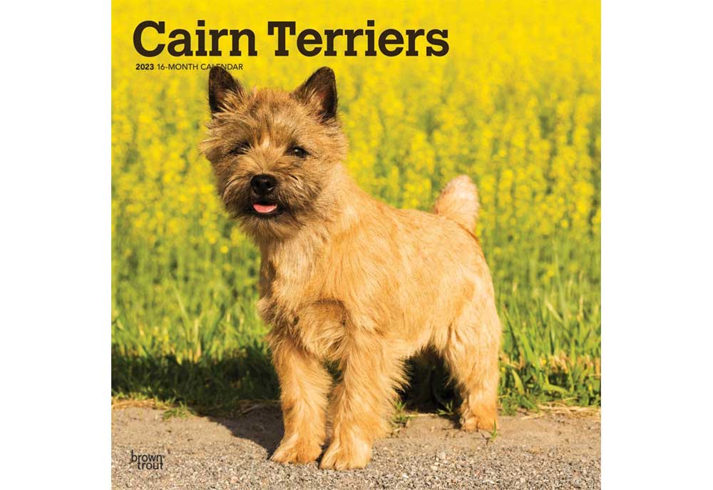 Dog Breed Calendar Featuring the Cairn Terrier | 2023 Dog Calendars