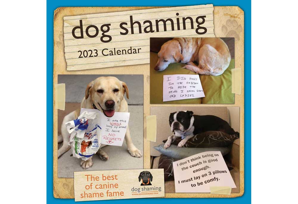 Dog Shaming Wall Calendar 2023 | Dog and Puppy Calendars