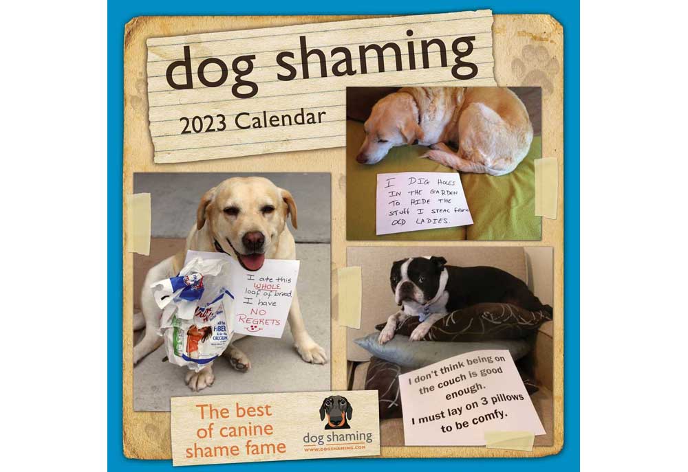 Dog Shaming Wall Calendar 2023 Dog And Puppy Calendars