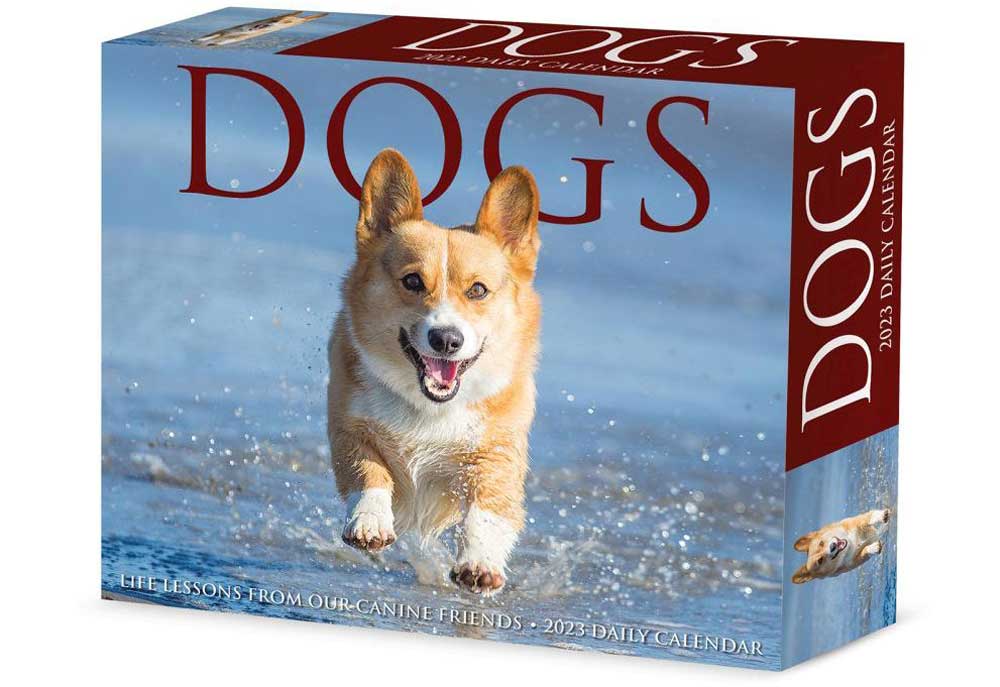 Dogs Daily Desk Calendar for 2023 | Dog and Puppy Calendars
