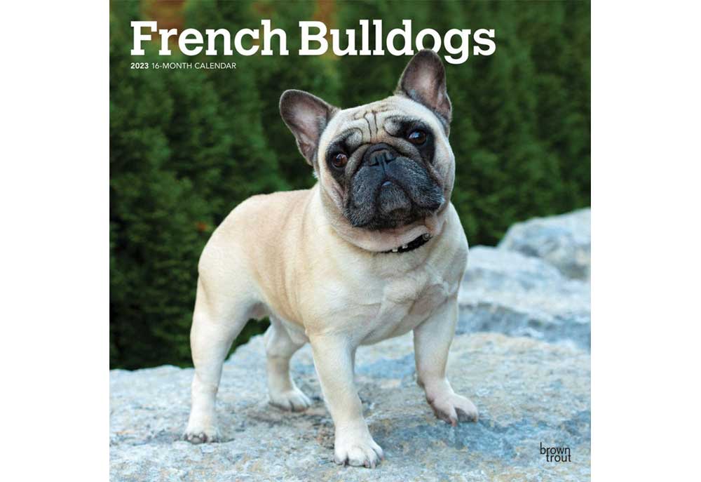 French Bulldogs 2023 Wall Calendar | Dog and Puppy Calendars