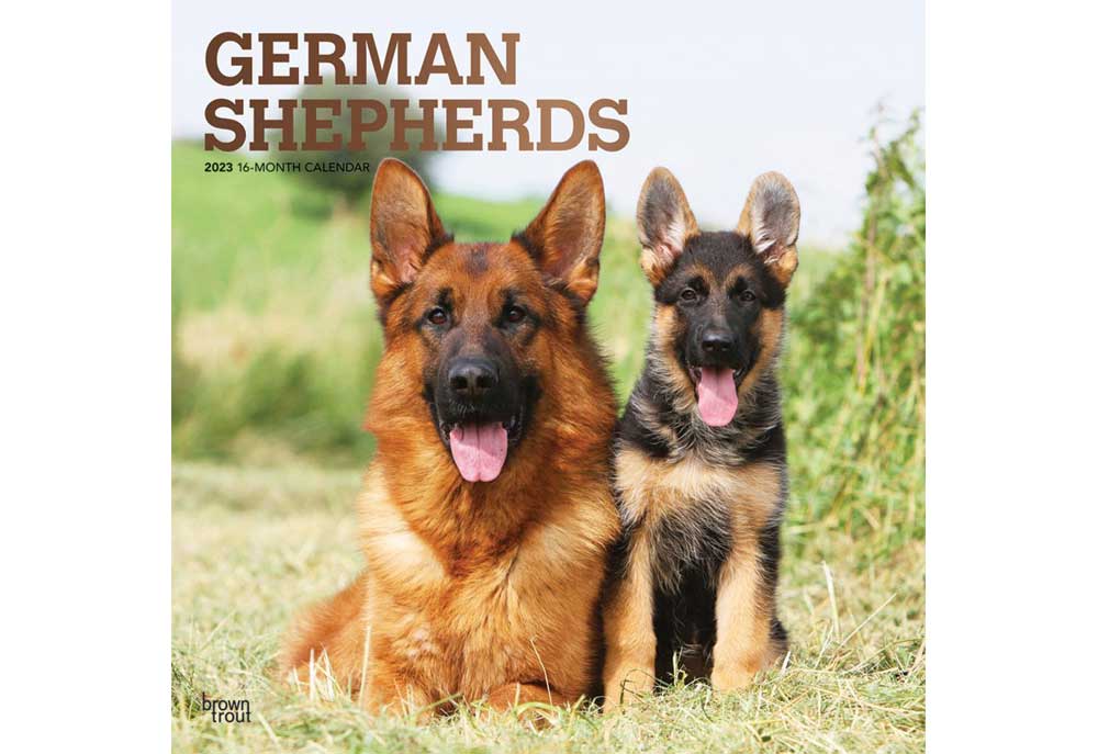 German Shepherd Dogs Calendar | Dog and Puppy Calendars