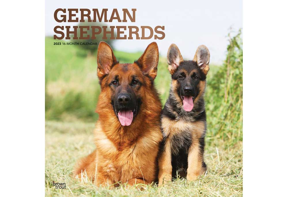 Dog Shaming Wall Calendar 2023 Dog And Puppy Calendars