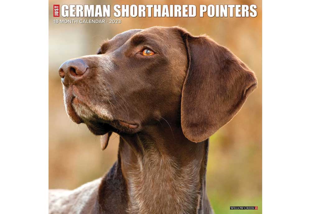 German Shorthaired Pointers Dog Calendar | Dog and Puppy Calendars