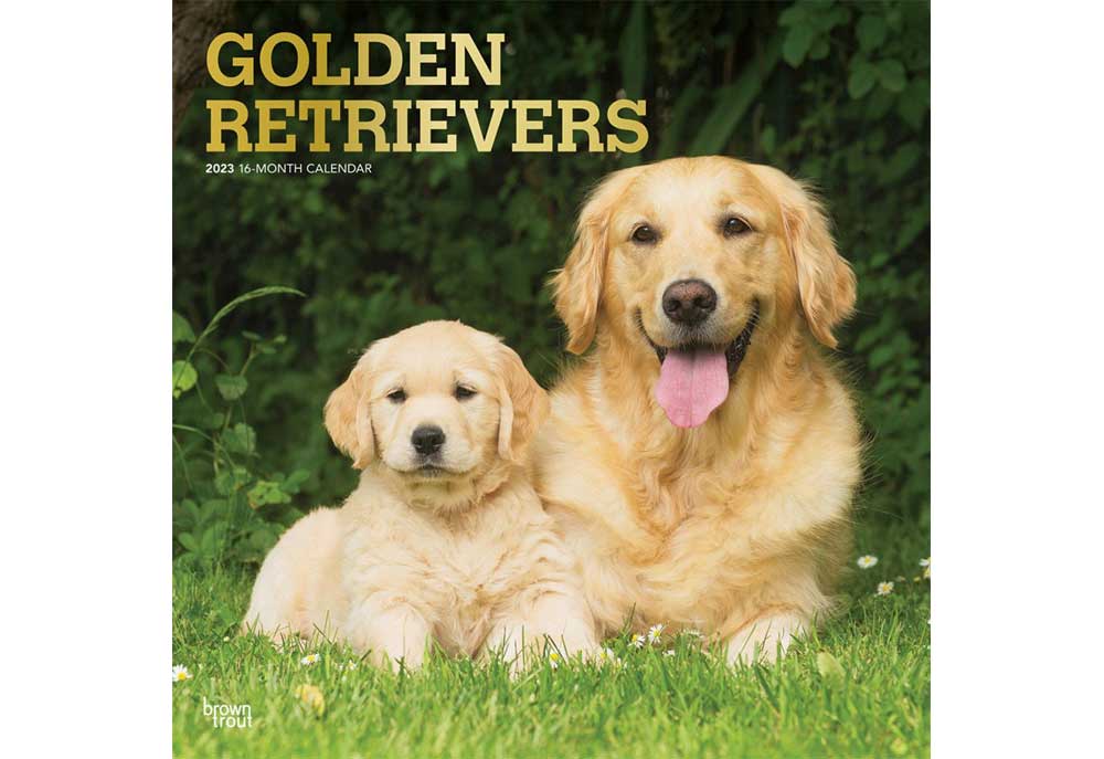 Golden Retriever Dogs Wall Calendar | Calendars of Dogs and Puppies