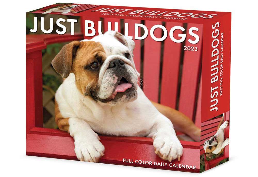2023 Bulldogs Desk Calendar | Dog Calendars