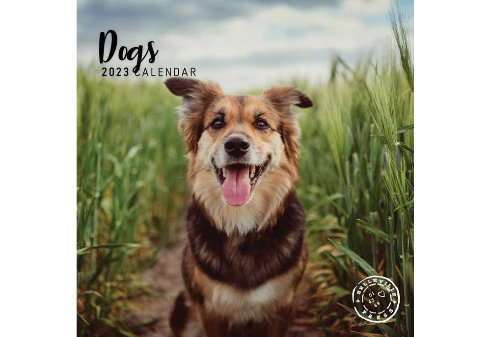 Just Dogs 2023 Wall Calendar | Dog Desk and Wall Calendars