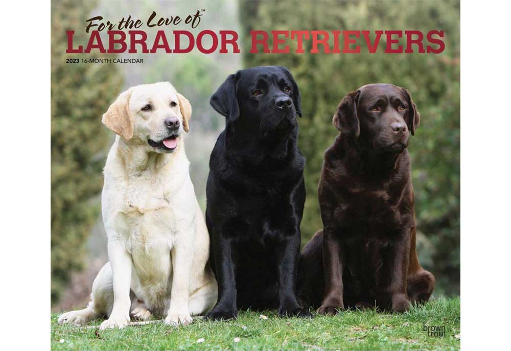 Labrador Retriever Dogs Wall Calendar | Calendars of Dogs and Puppies