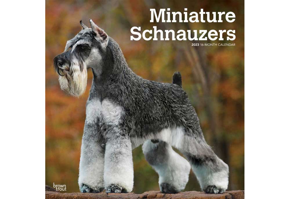 Miniature Schnauzer Dog Calendar | Dog and Puppy Calendars