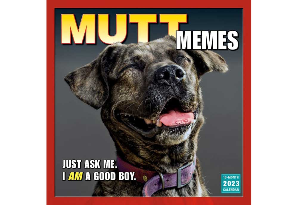 Mutt Memes Dog Calendar | 2023 Dog Calendars