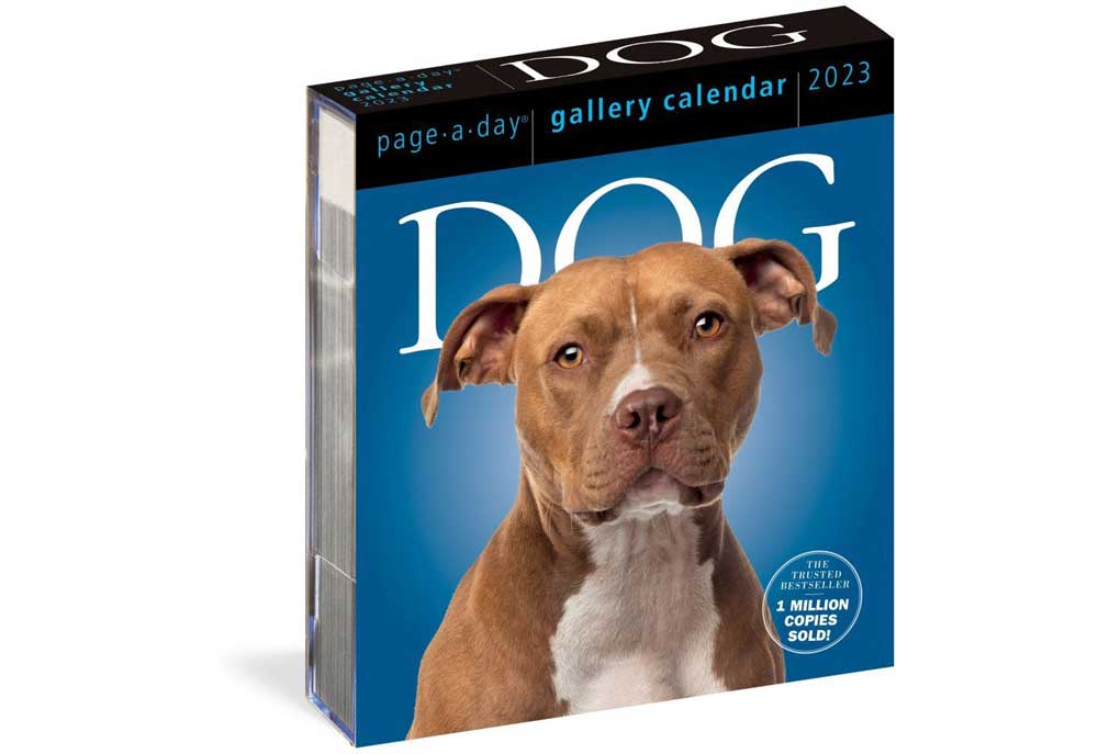 Page a Day Dog Desk Calendar for 2023 | Dog Calendars Pictures