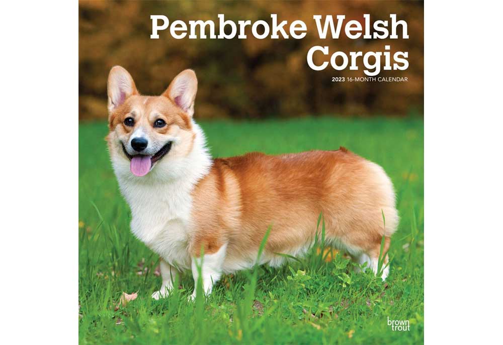 2023 Pembroke Welsh Corgi Dog Wall Calendar | Dog and Puppy Calendars