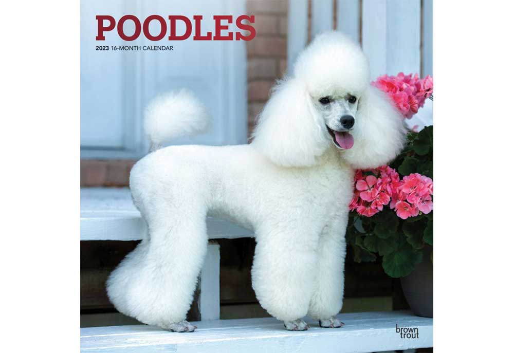 Poodle Dog Wall Calendar for 2023 | Calendars of Dogs and Puppies