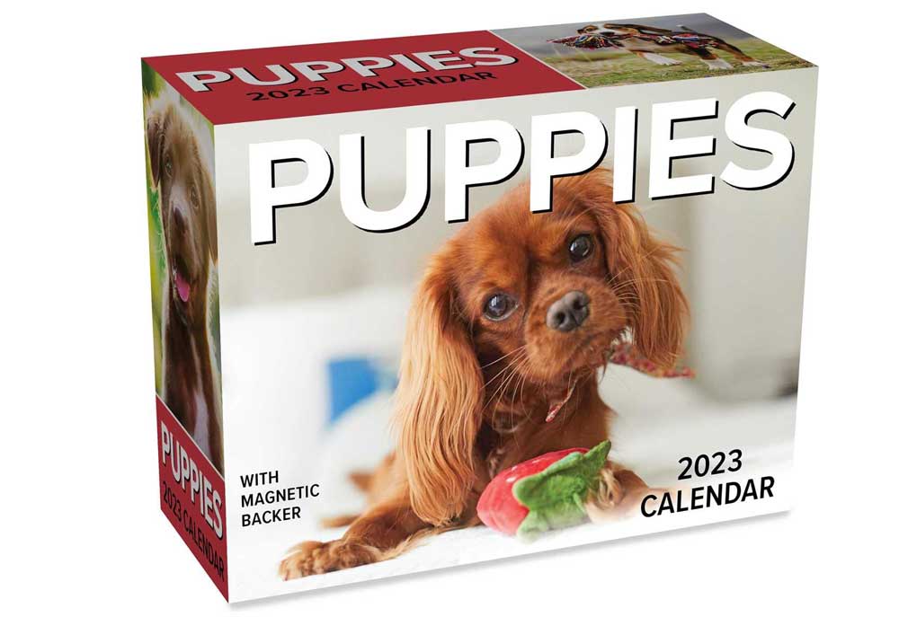 Cute Puppy Pictures Each Day with Puppies Desk Calendar | 2023 Dog Calendars