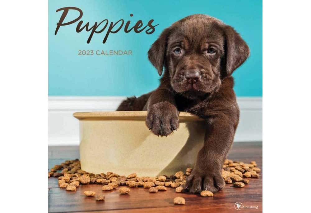 Puppies Wall Calendar 2023 | Dog and Puppy Calendars