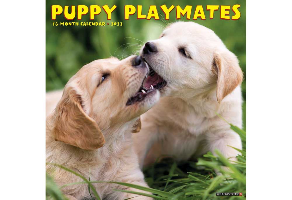 Puppy Playmates 2023 Wall Calendar | Puppy Dog Calendars