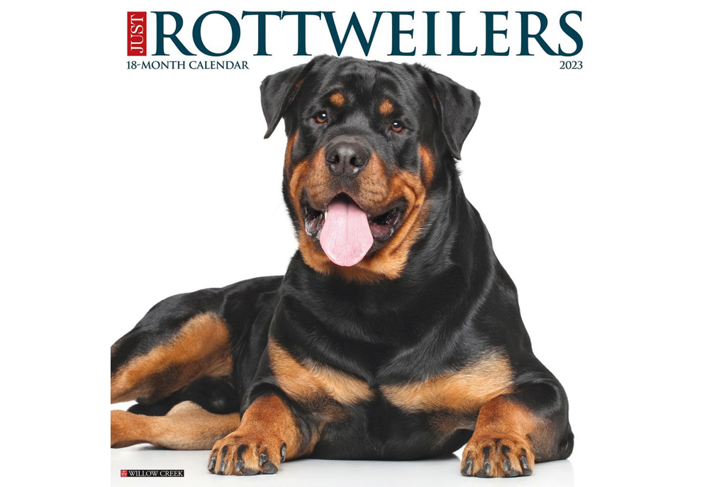 Rottweiler Dogs Wall Calendar 2023 | Dog and Puppy Calendars
