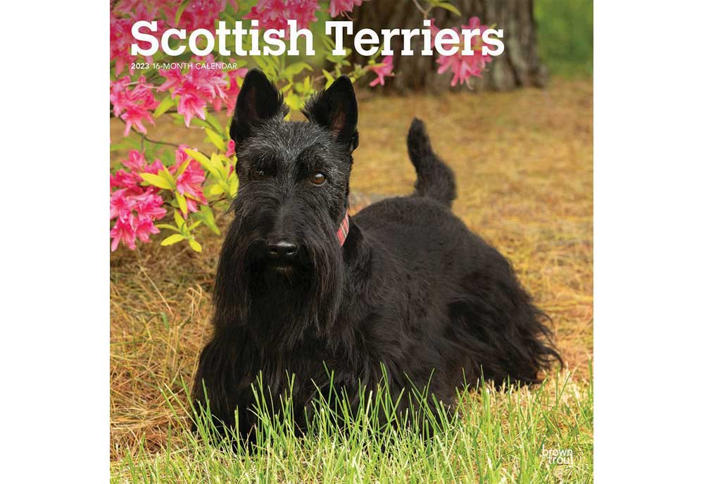 Scottish Terrier Dog Breed Calendar | 2023 Dog Calendars