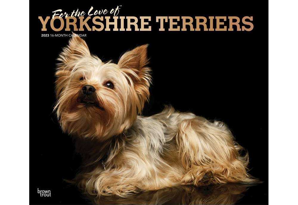Yorkshire Terrier Dog Calendar | Puppy Dog Calendars 2023