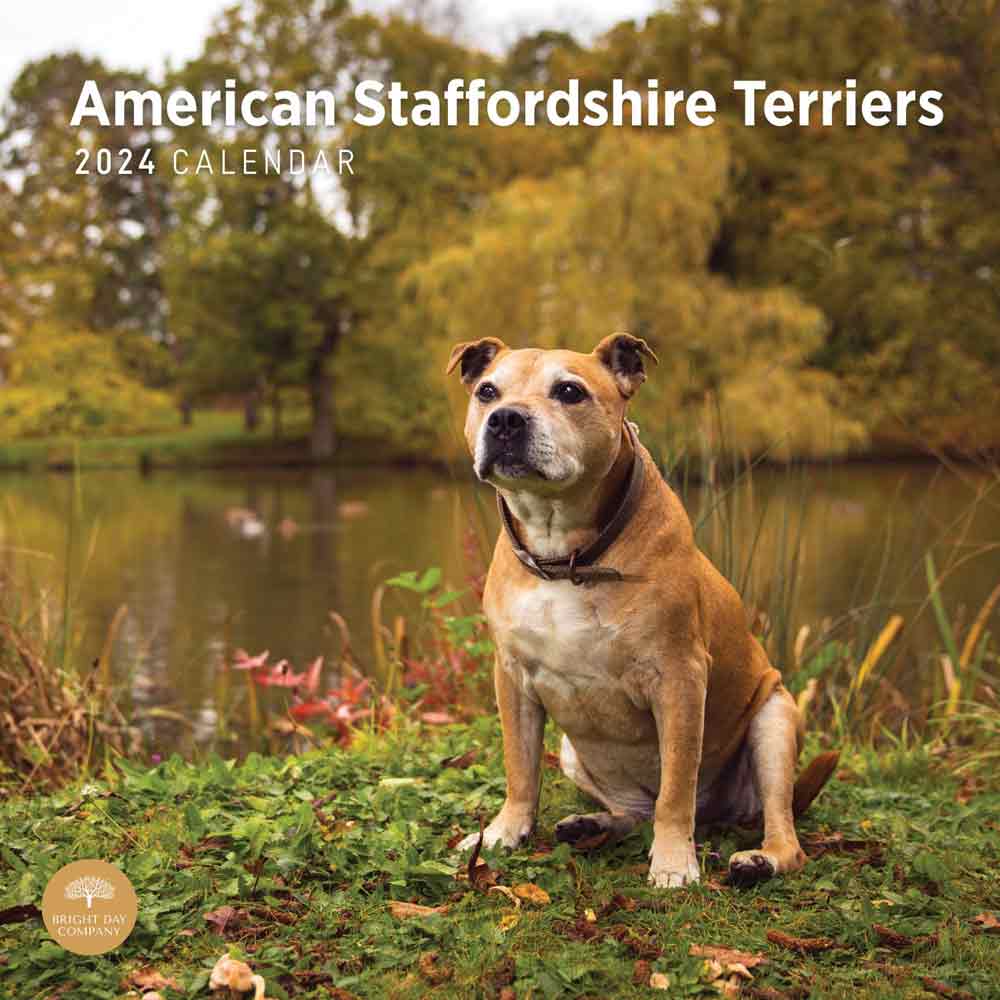 American Staffordshire Terrier Dog Calendar | 2024 Dog Calendars