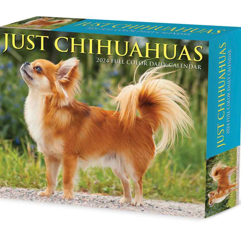 Chihuahua Dog Breed Daily Desk Calendar | Dog Calendars