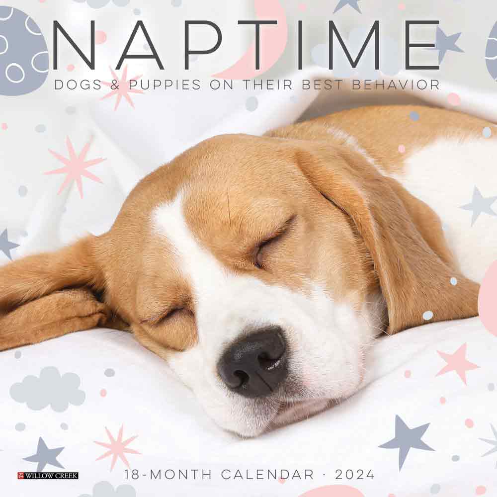 Dog and Puppy Naptime Wall Calendar | 2024 Dog Calendars