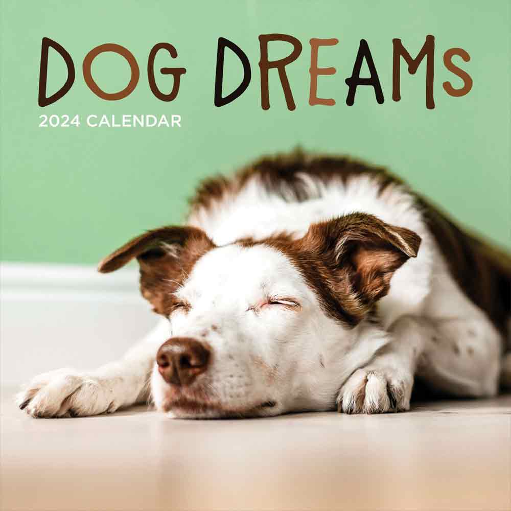 Dog Dreams Wall Calendar for 2024 | Puppy Dog Calendars