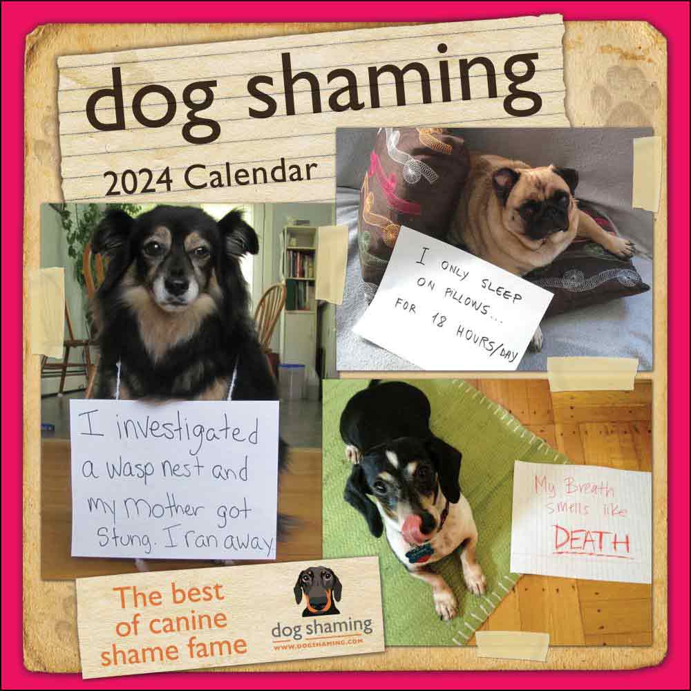Dog Shaming Wall Calendar 2024 | Dog Art Print