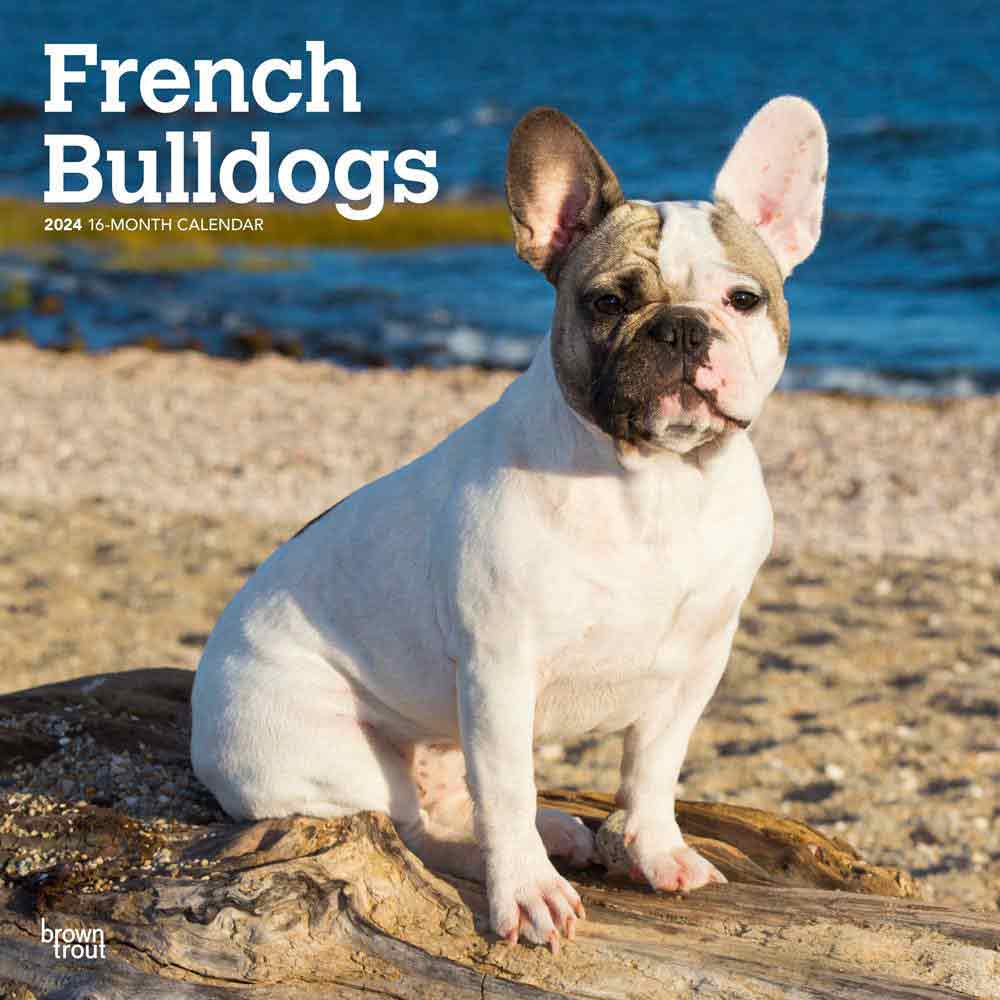 French Bulldogs 2024 Wall Calendar | Dog and Puppy Calendars