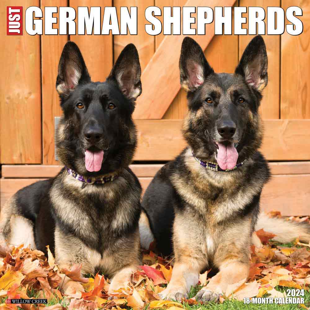 2024 German Shepherd Dogs Calendar | Dog and Puppy Calendars