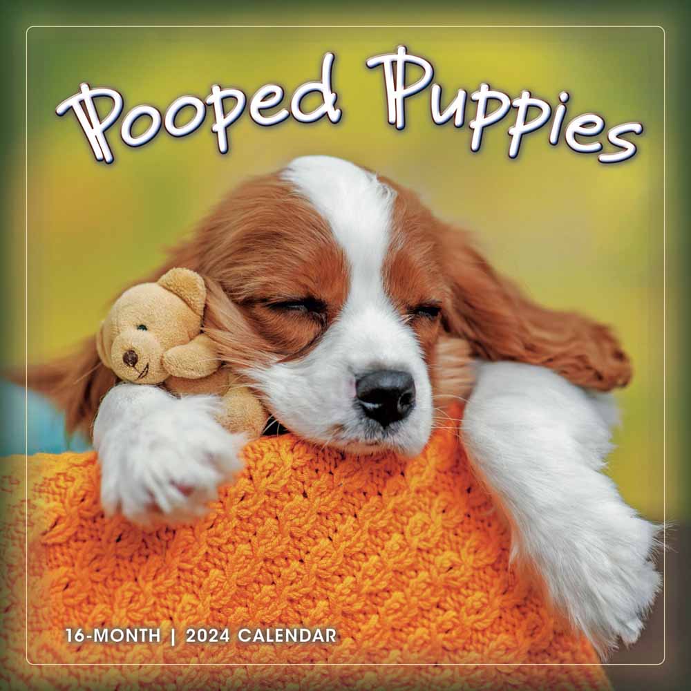 Pooped Puppies 2024 Wall Calendar | Dog and Puppy Calendars