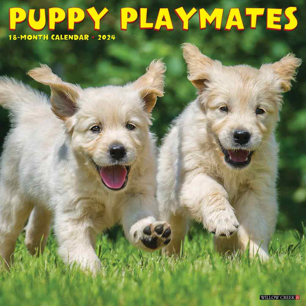 Puppy Playmates 2024 Wall Calendar | Puppy Dog Calendars