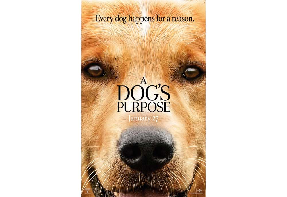'A Dog's Purpose' Movie Poster | Dog Posters Art Prints