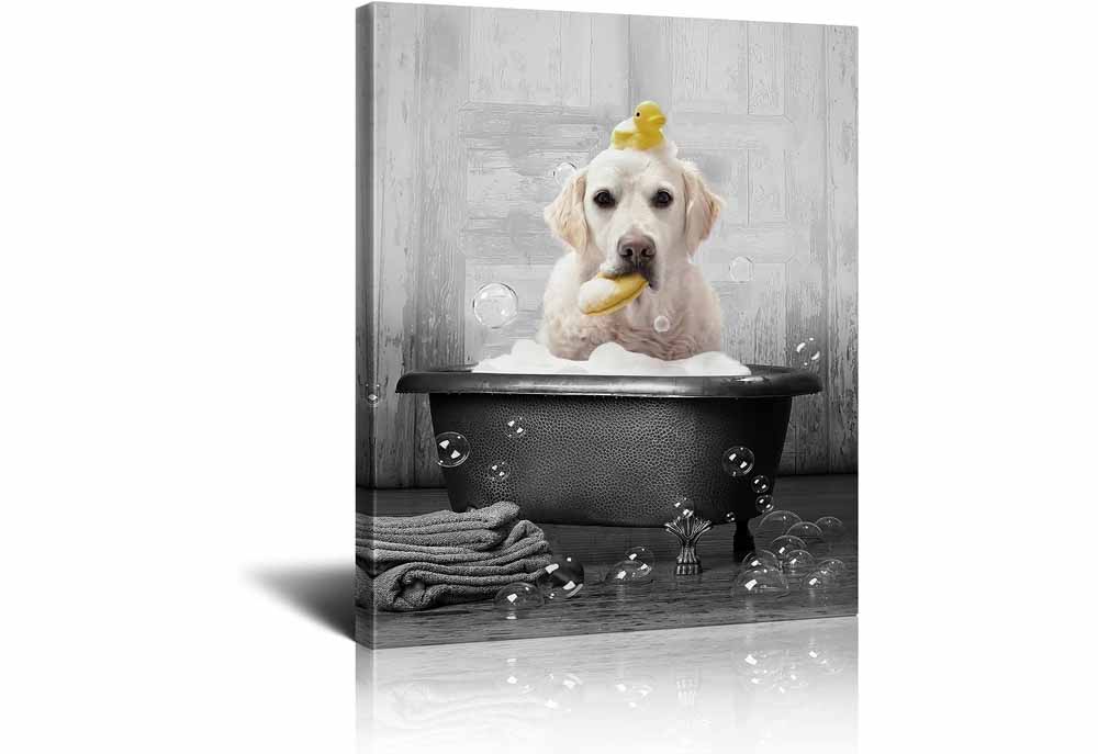 Labrador Dog in Bathtub | Dog Posters Art Prints