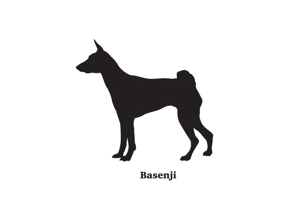 Silhouette of Basenji Dog Breed | Dog Breed Clip Art